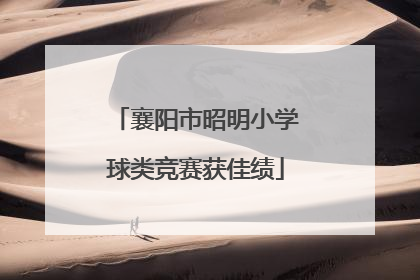 襄阳市昭明小学球类竞赛获佳绩