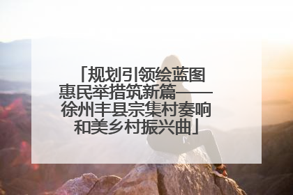 规划引领绘蓝图 惠民举措筑新篇——徐州丰县宗集村奏响和美乡村振兴曲