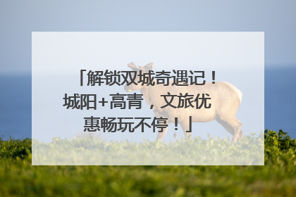 解锁双城奇遇记！城阳+高青，文旅优惠畅玩不停！