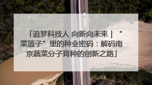 追梦科技人 向新向未来｜“菜篮子”里的种业密码：解码南京蔬菜分子育种的创新之路