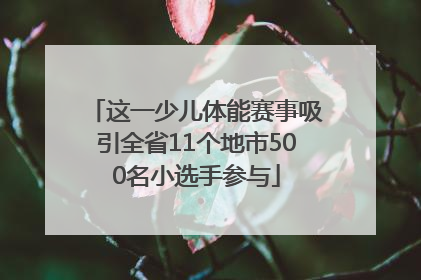 这一少儿体能赛事吸引全省11个地市500名小选手参与