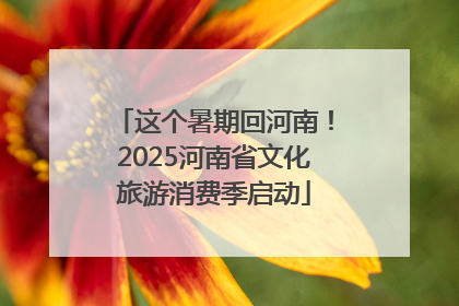 这个暑期回河南！2025河南省文化旅游消费季启动
