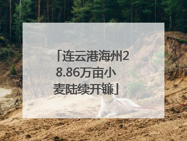 连云港海州28.86万亩小麦陆续开镰