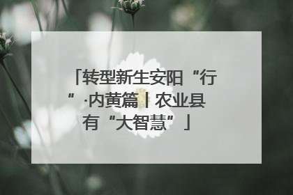 转型新生安阳“行”·内黄篇丨农业县有“大智慧”