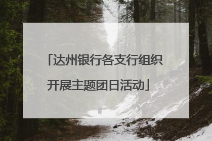 达州银行各支行组织开展主题团日活动