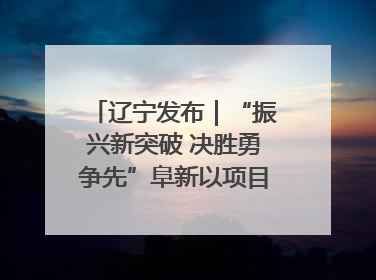 辽宁发布｜“振兴新突破 决胜勇争先”阜新以项目攻坚破解发展瓶颈 经济发展实现良好开局