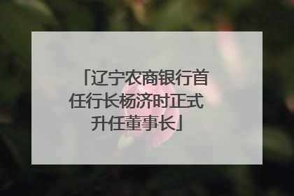 辽宁农商银行首任行长杨济时正式升任董事长