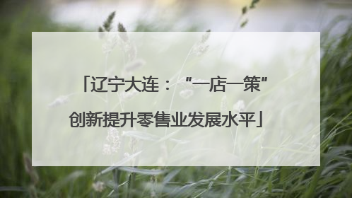 辽宁大连：“一店一策”创新提升零售业发展水平