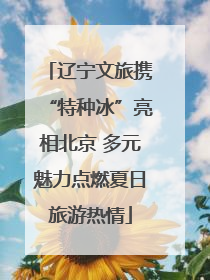 辽宁文旅携“特种冰”亮相北京 多元魅力点燃夏日旅游热情