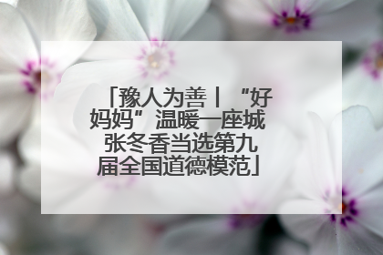 豫人为善丨“好妈妈”温暖一座城 张冬香当选第九届全国道德模范