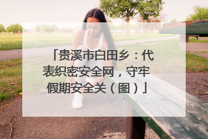 贵溪市白田乡：代表织密安全网，守牢假期安全关（图）