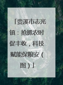 贵溪市志光镇：抢抓农时促丰收，科技赋能保粮安（图）