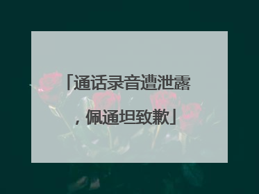 通话录音遭泄露，佩通坦致歉