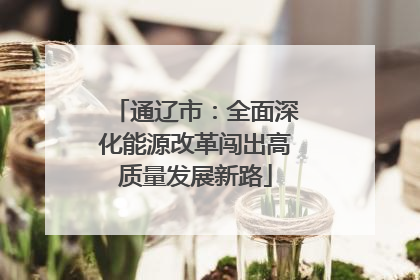 通辽市：全面深化能源改革闯出高质量发展新路