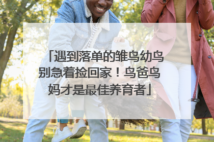 遇到落单的雏鸟幼鸟别急着捡回家！鸟爸鸟妈才是最佳养育者