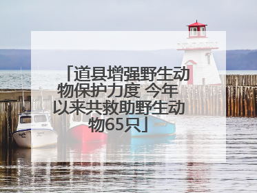 道县增强野生动物保护力度 今年以来共救助野生动物65只