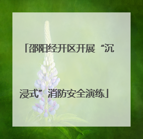 邵阳经开区开展“沉浸式”消防安全演练