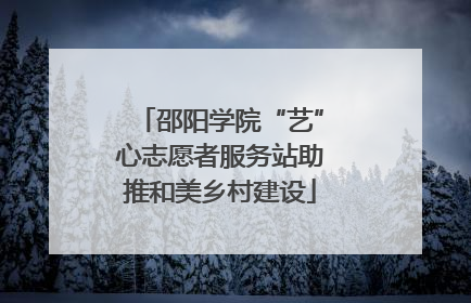 邵阳学院“艺”心志愿者服务站助推和美乡村建设