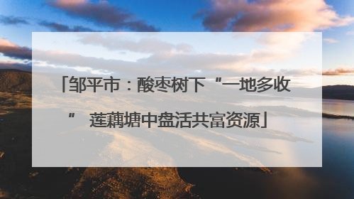 邹平市：酸枣树下“一地多收” 莲藕塘中盘活共富资源