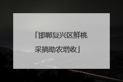 邯郸复兴区鲜桃采摘助农增收