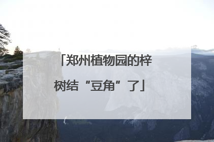 郑州植物园的梓树结“豆角”了