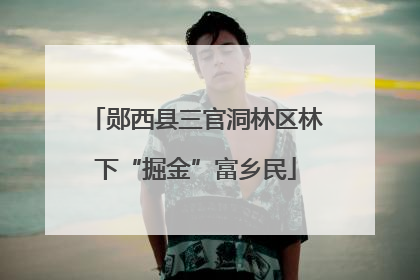 郧西县三官洞林区林下“掘金”富乡民