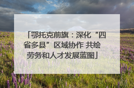 鄂托克前旗：深化“四省多县”区域协作 共绘劳务和人才发展蓝图