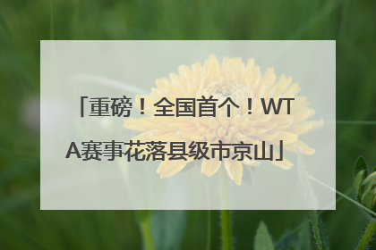 重磅！全国首个！WTA赛事花落县级市京山