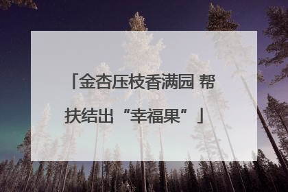 金杏压枝香满园 帮扶结出“幸福果”
