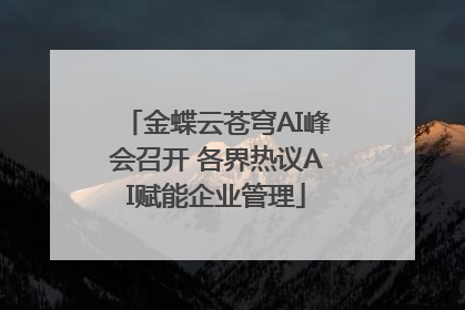 金蝶云苍穹AI峰会召开 各界热议AI赋能企业管理