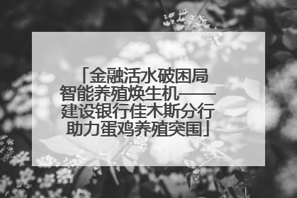 金融活水破困局 智能养殖焕生机——建设银行佳木斯分行助力蛋鸡养殖突围