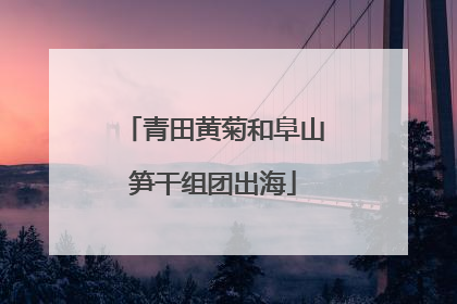 青田黄菊和阜山笋干组团出海
