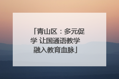 青山区：多元促学 让国通语教学融入教育血脉