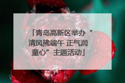 青岛高新区举办“清风拂端午 正气润童心”主题活动