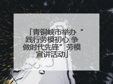 青铜峡市举办“践行劳模初心 争做时代先锋”劳模宣讲活动