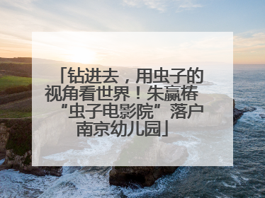 钻进去，用虫子的视角看世界！朱赢椿“虫子电影院”落户南京幼儿园