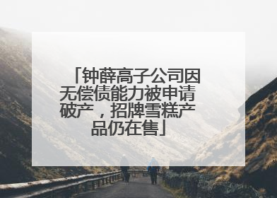 钟薛高子公司因无偿债能力被申请破产，招牌雪糕产品仍在售
