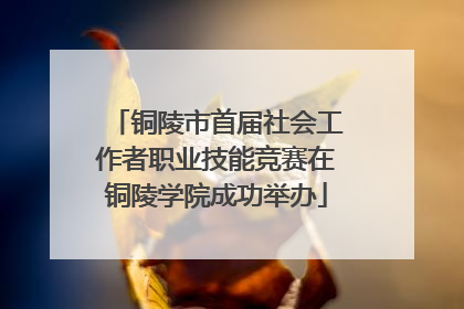 铜陵市首届社会工作者职业技能竞赛在铜陵学院成功举办