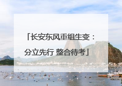 长安东风重组生变：分立先行 整合待考