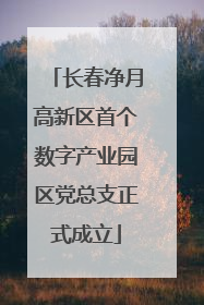 长春净月高新区首个数字产业园区党总支正式成立