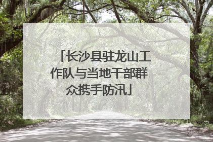 长沙县驻龙山工作队与当地干部群众携手防汛