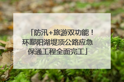 防汛+旅游双功能！环鄱阳湖堤顶公路应急保通工程全面完工