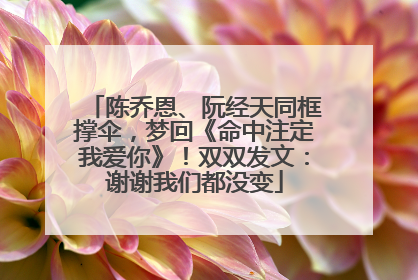陈乔恩、阮经天同框撑伞，梦回《命中注定我爱你》！双双发文：谢谢我们都没变