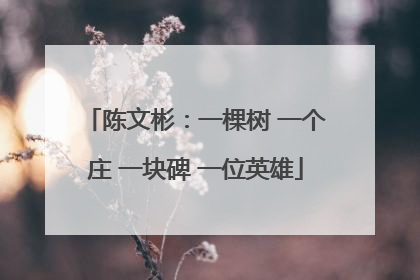 陈文彬：一棵树 一个庄 一块碑 一位英雄