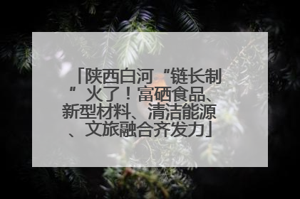陕西白河“链长制”火了！富硒食品、新型材料、清洁能源、文旅融合齐发力