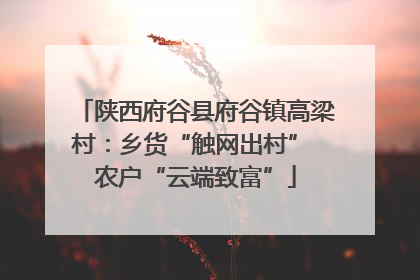 陕西府谷县府谷镇高梁村：乡货“触网出村” 农户“云端致富”