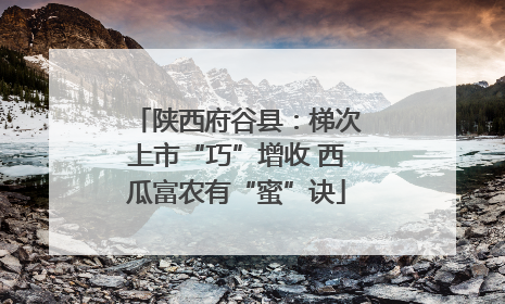 陕西府谷县：梯次上市“巧”增收 西瓜富农有“蜜”诀