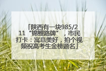 陕西有一块985/211“锦鲤路牌”，市民打卡：寓意美好，拍个视频祝高考生金榜题名