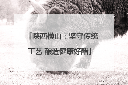 陕西横山：坚守传统工艺 酿造健康好醋