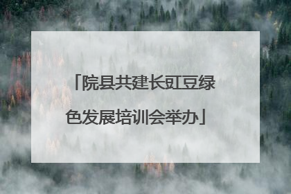 院县共建长豇豆绿色发展培训会举办